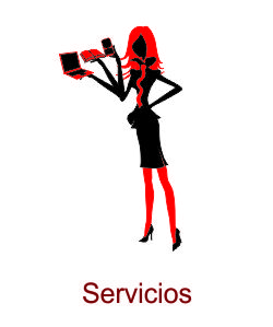 MurVel Servicios